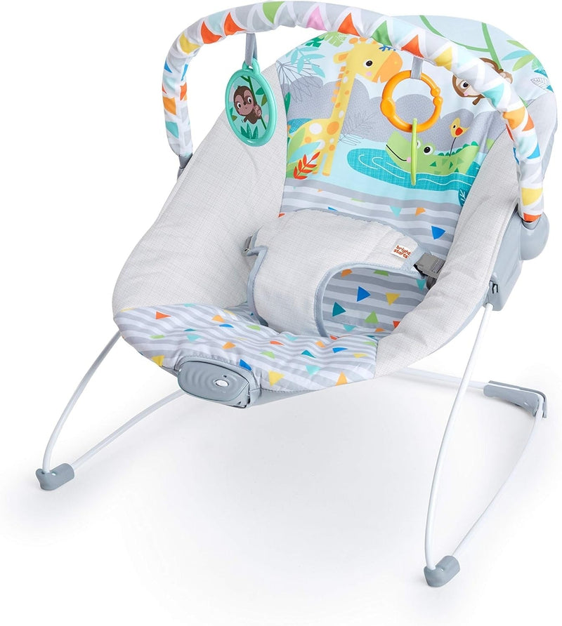 Bright Starts Soothing Vibrations Baby Bouncer Seat