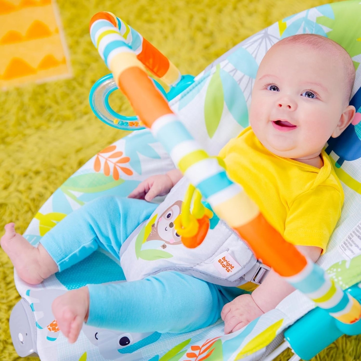 Bright Starts Soothing Vibrations Baby Bouncer Seat